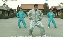 太极拳教学视频,领略传统武术魅力，轻松入门养生之道