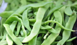 91直播芸豆可以体现么,揭秘直播界的璀璨明珠